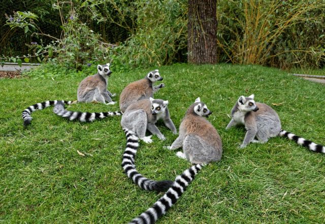 Osterferienprogramm im Opel-Zoo
