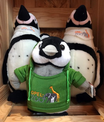 Pinguine01.jpg