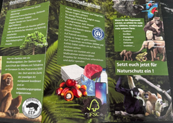 Platz 1 Gibbon.jpg